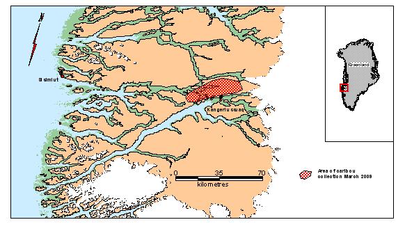 Kangerlussuaq-Sisimiut Body_condition_mapfigure