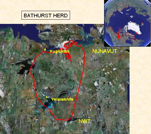 Bathurst