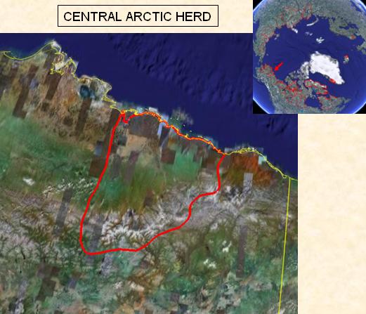 CentralArctic