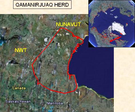 Qamanirjuaq