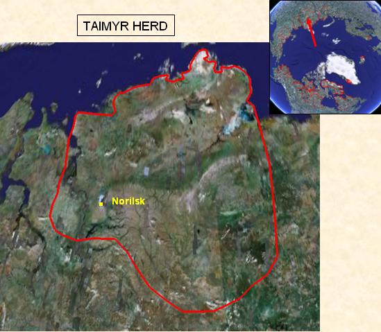 Taimyr